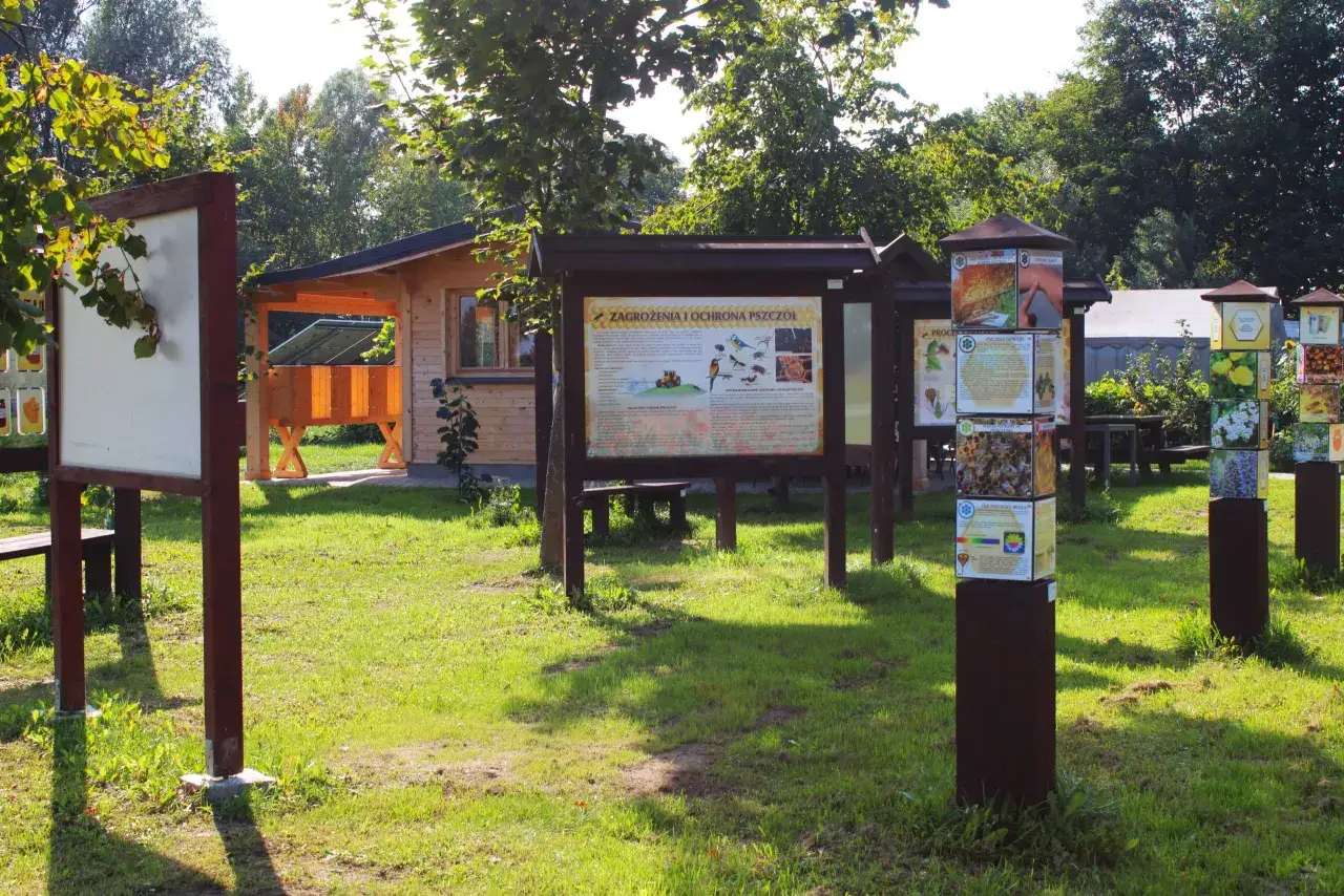 Skansen pszczelarski: odkryj fascynującą historię pszczelarstwa w Polsce