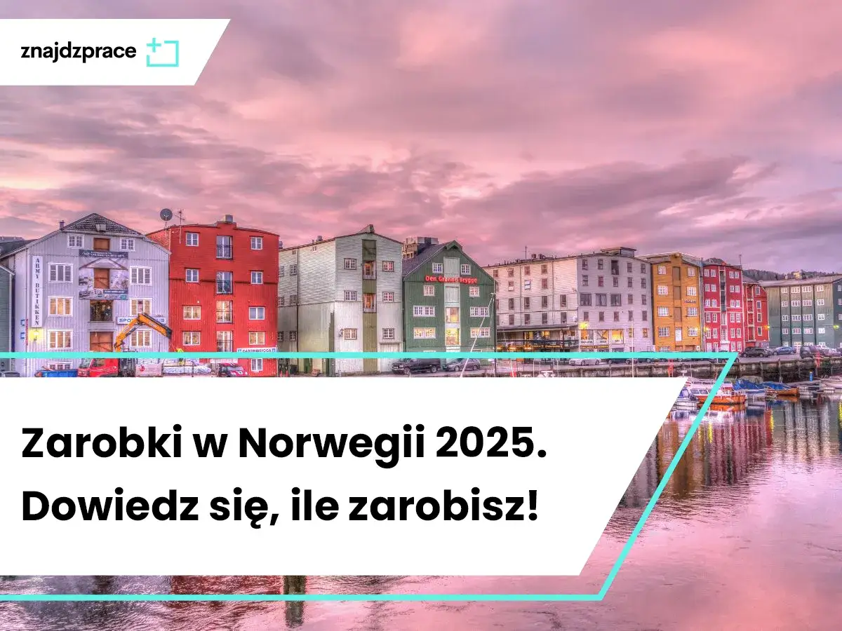 Norwegia: Zarobki weterynarza czy warto emigrować?
