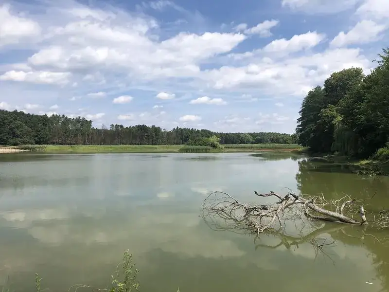 Łowisko Kluczkowice: idealne miejsce na wędkowanie i relaks