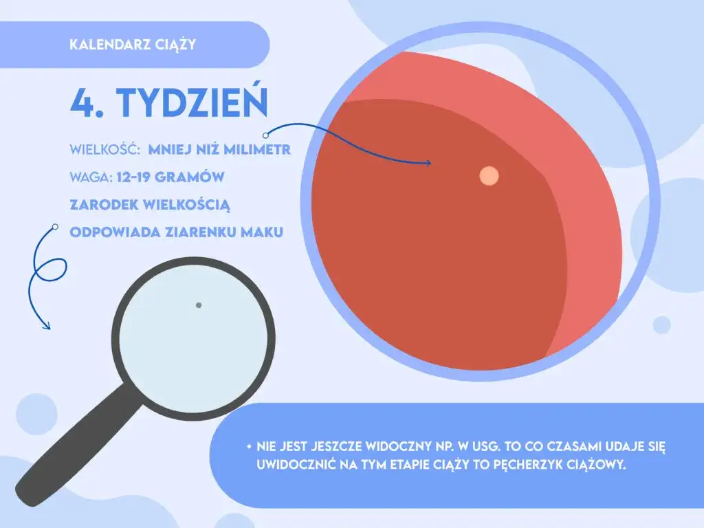 Ciąża w 4 tygodniu: objawy, rozwój płodu i zmiany w organizmie