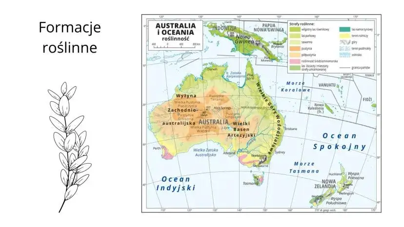 Gdzie leży Nowa Gwinea? Odkryj podział, klimat i atrakcje!