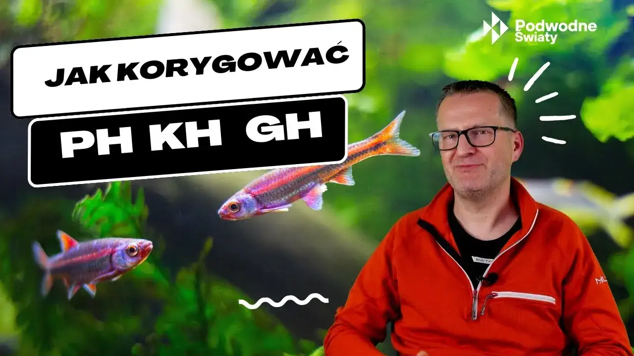 Jak podnieść pH w akwarium? Stabilne KH to klucz!