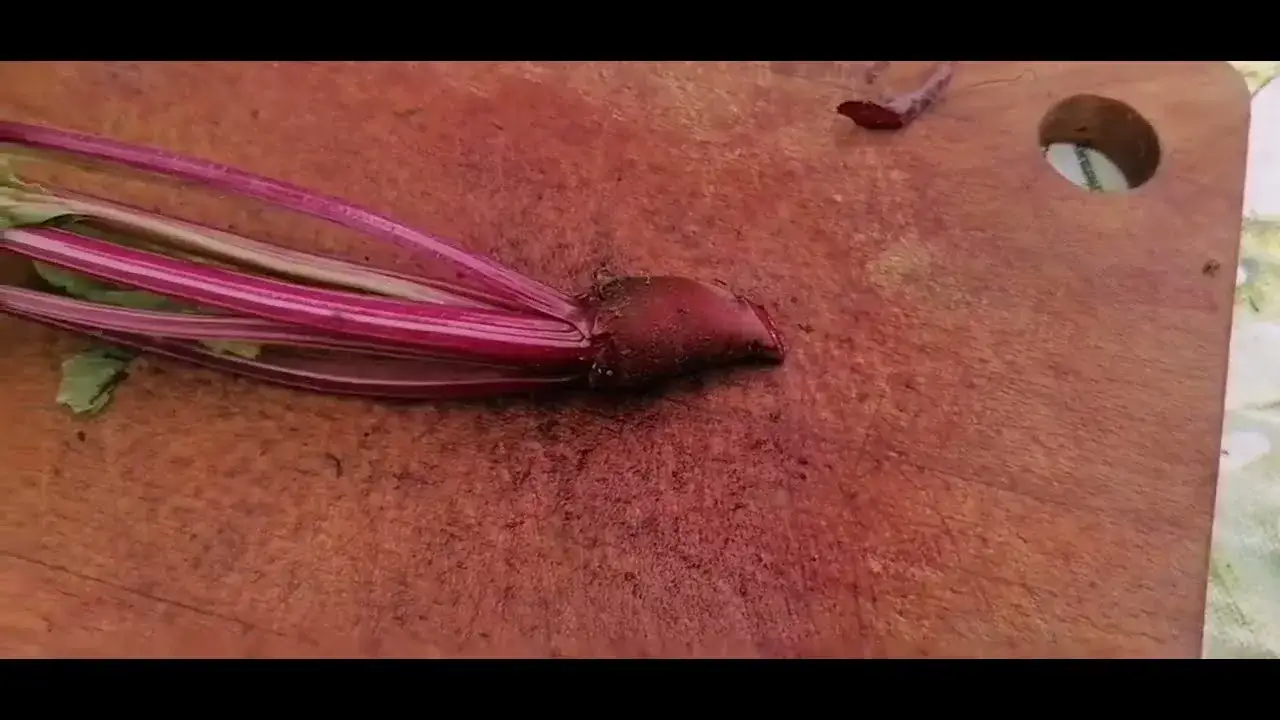 Botwinka: Kiedy sezon w Polsce? Wybierz idealny pęczek!