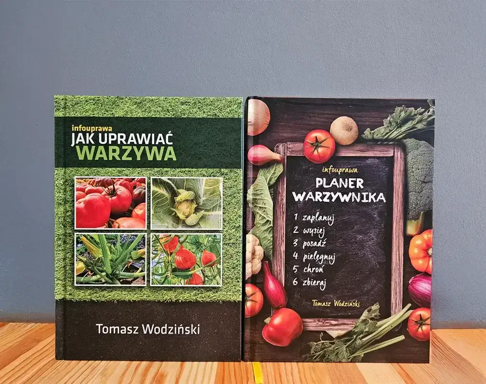 Jak uprawiać warzywa? Kompletny poradnik dla początkujących!