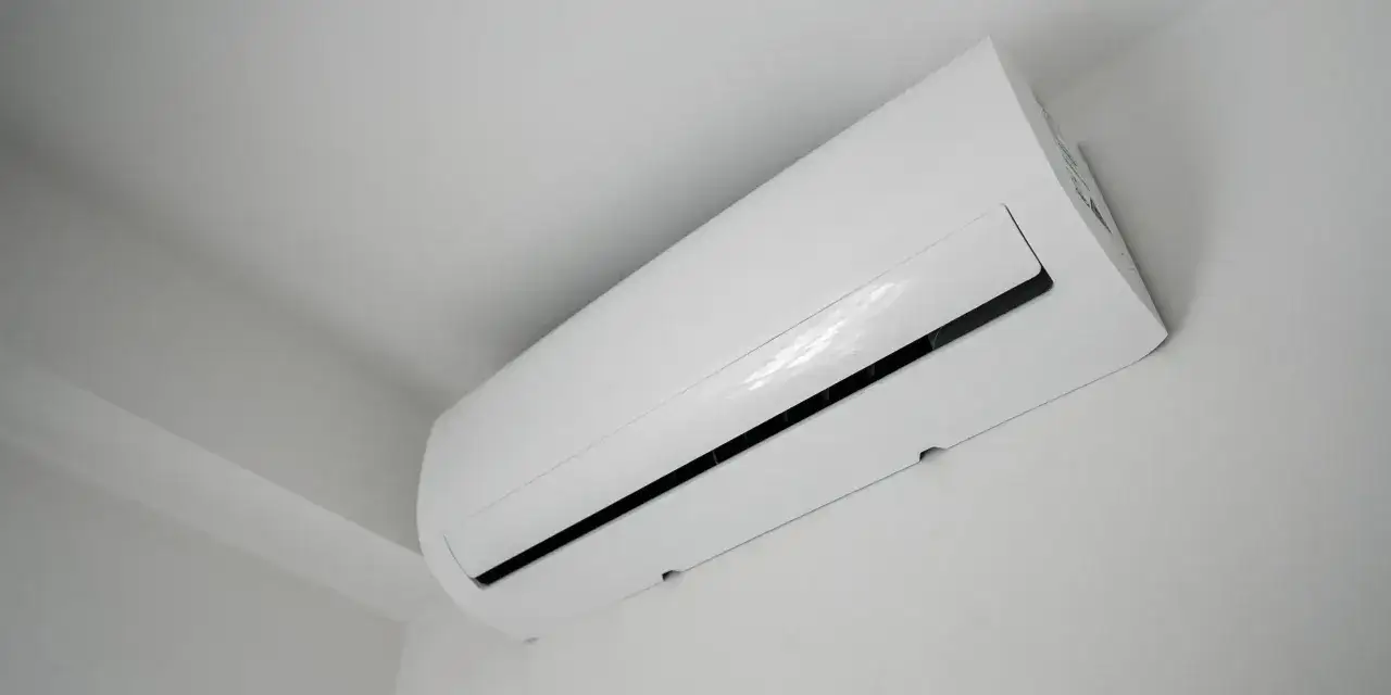 Kaisai to polska marka! Poznaj właściciela i jej sukces.