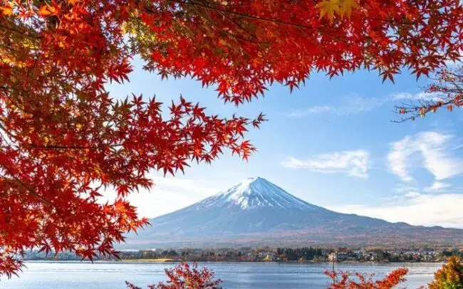 Kiedy najlepiej jechać do Japonii, aby uniknąć tłumów i cieszyć się pięknem?