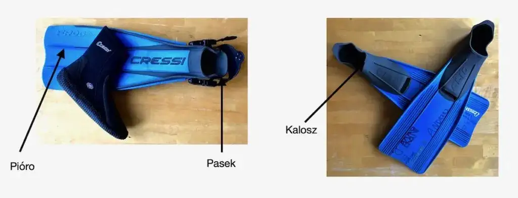 Jakie płetwy do nauki pływania pomogą Ci uniknąć frustracji?