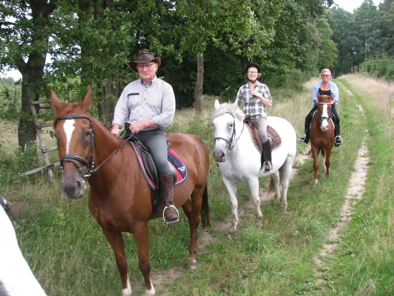 Salino: Jeździeckie serce Kaszub? Odkryj Stadninę Koni!