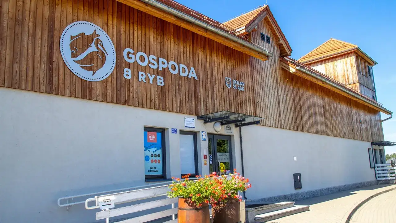 Gdzie zjeść w Stawach Milickich? Najlepsze lokale z rybami