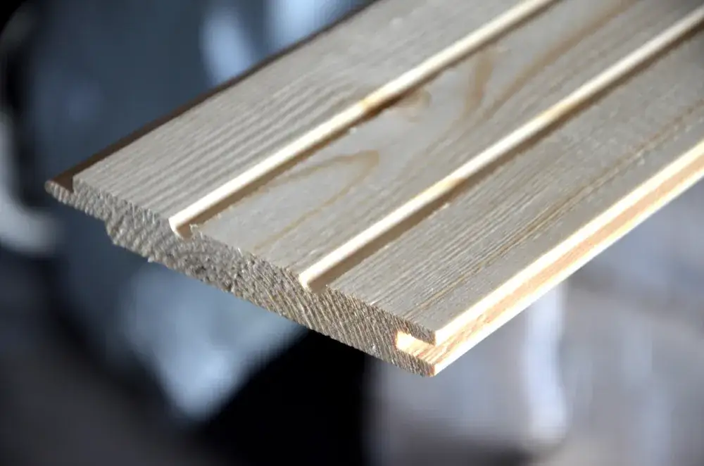 Boazeria świerkowa czy sosnowa – porównanie trwałości i kosztów