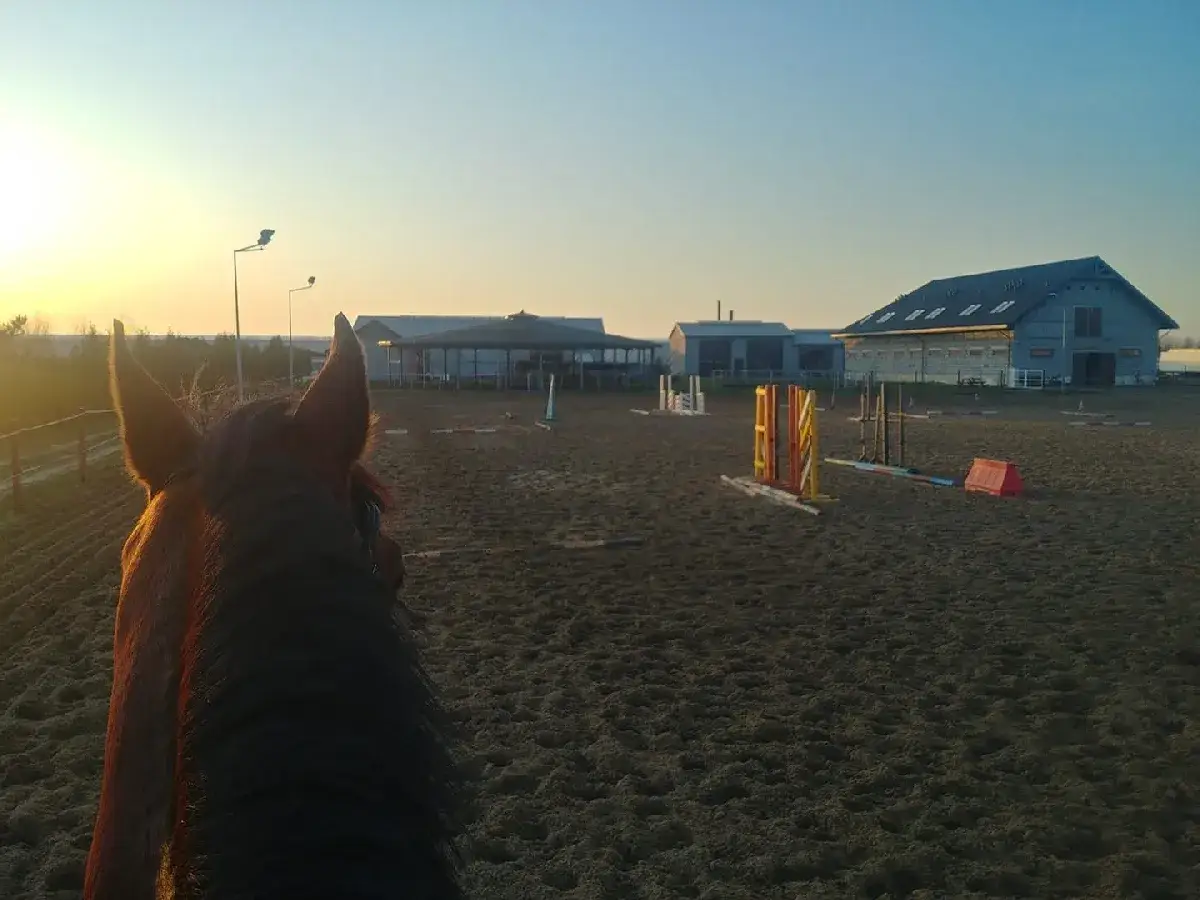 Klub jeździecki Dziecinów w likwidacji: co to oznacza dla Ciebie?