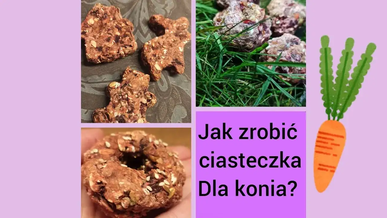 Jak zrobić ciastka dla koni - prosta receptura na zdrowe smakołyki