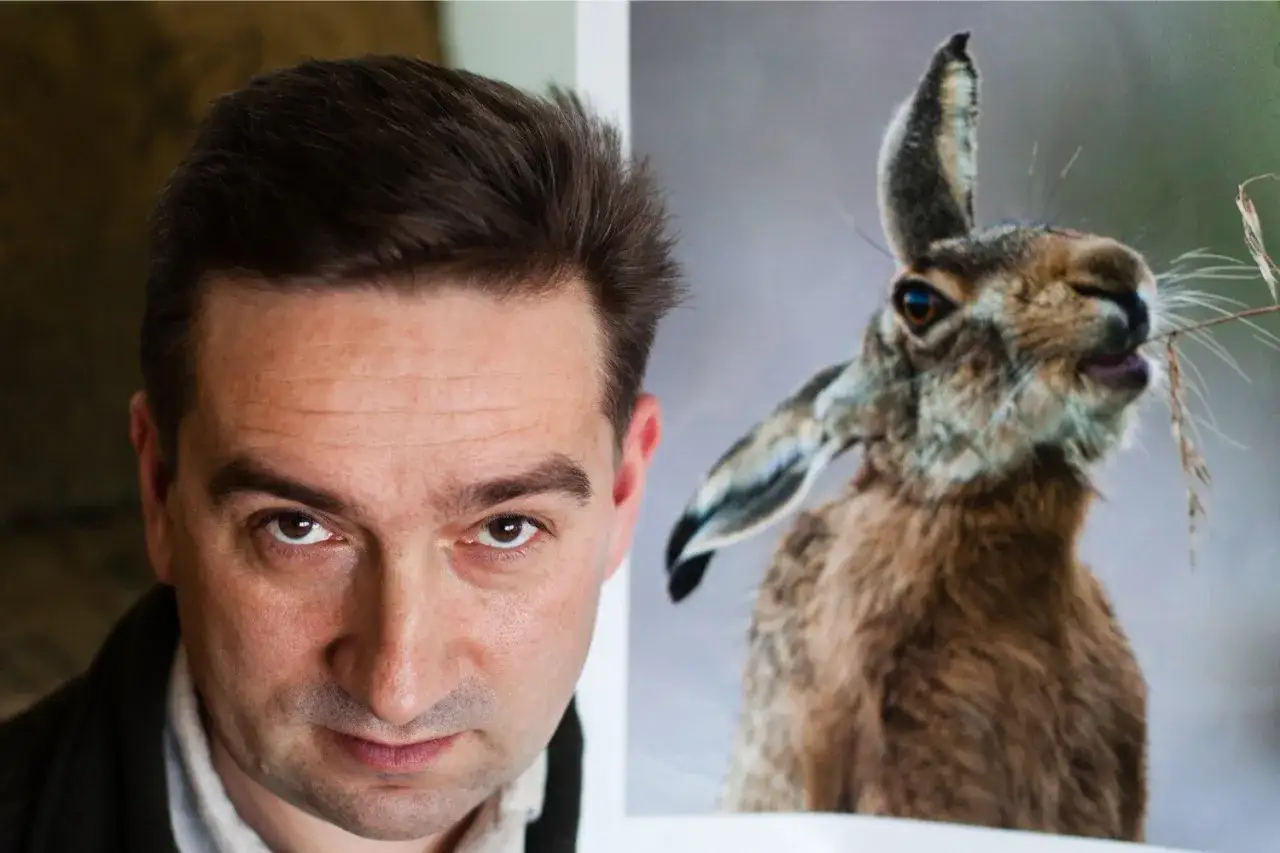 Czym się żywią zające? Odkryj ich ulubione rośliny i nawyki