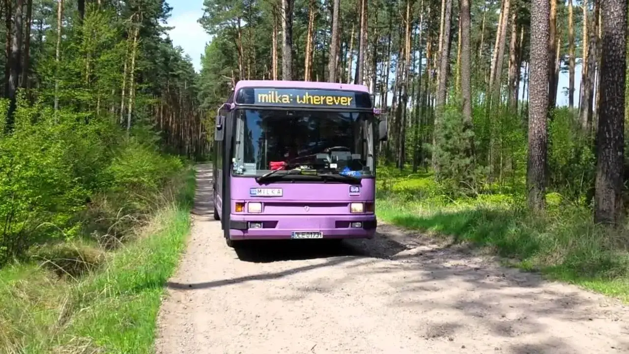 Jak oznakować holowane auto? Uniknij mandatu i jedź bezpiecznie!