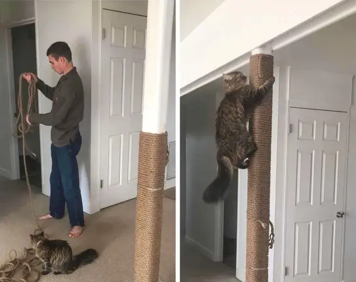 Czy twój kotek jest milusi? Odkryj jego urocze zachowania i cechy