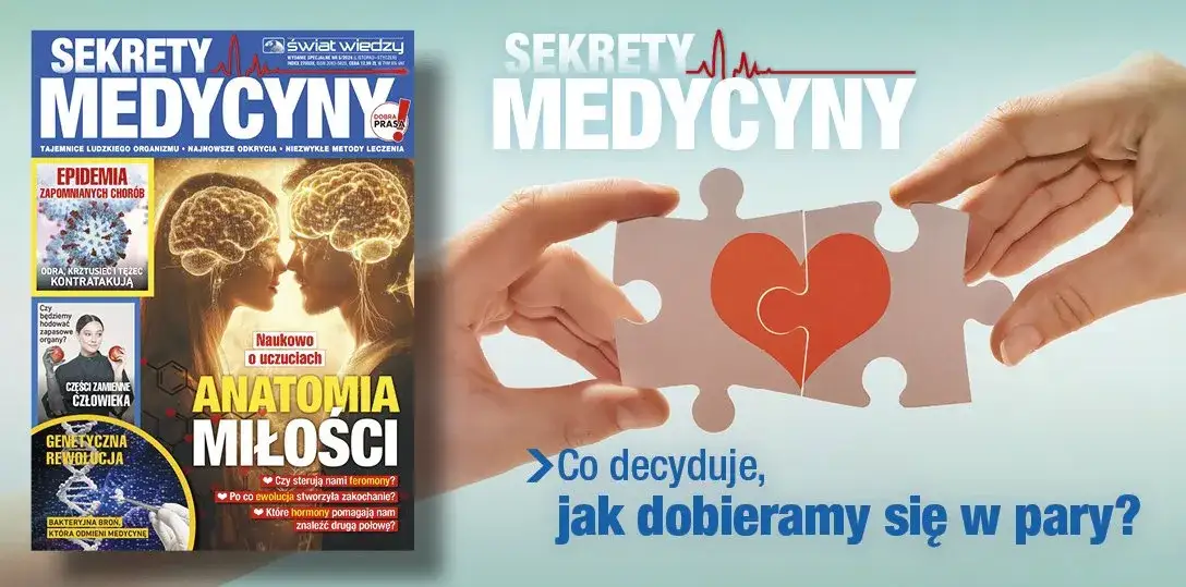 Sekrety raportu z eksperymentu: Zdobądź 5! Kompletny przewodnik