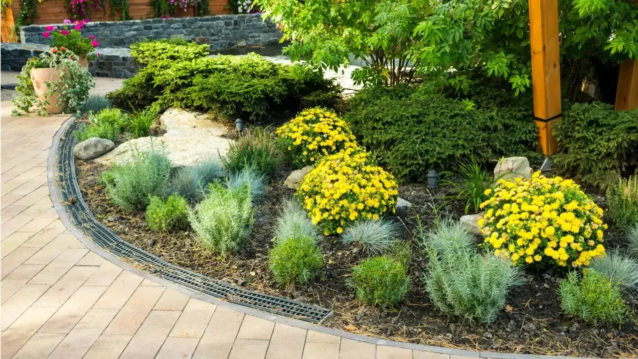 Ogród przed domem: Jak stworzyć wizytówkę, która zachwyca?