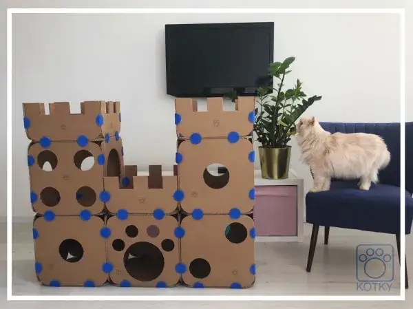 Domek dla kota z kartonu: Stwórz azyl, który pokocha Twój kot!