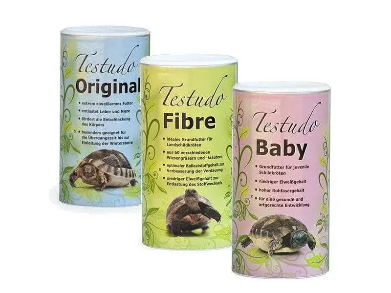 Czym karmić żółwia greckiego? Klucz do zdrowia i długowieczności