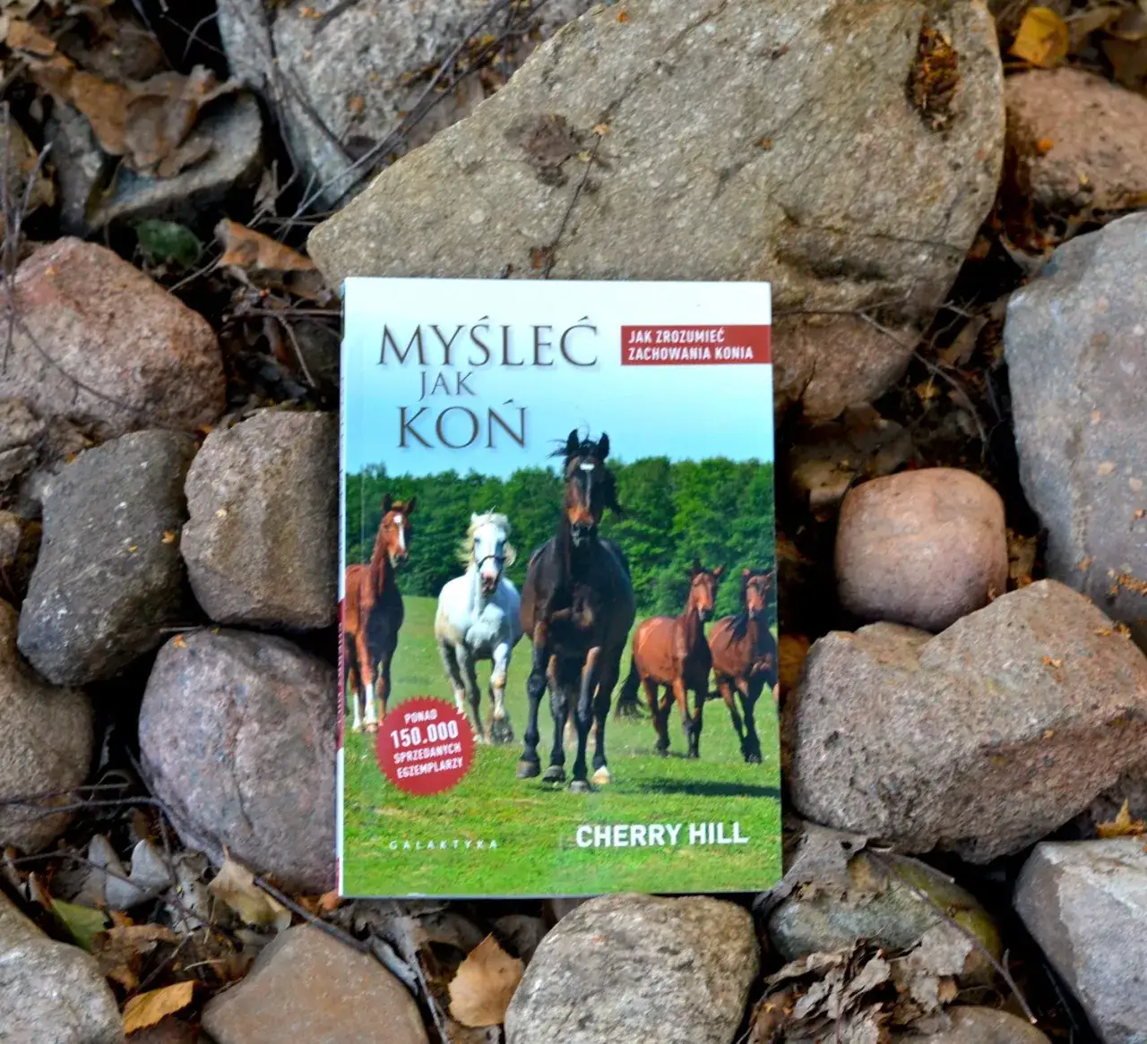 Myśleć jak koń: Zrozum jego świat i zbuduj niezwykłą więź