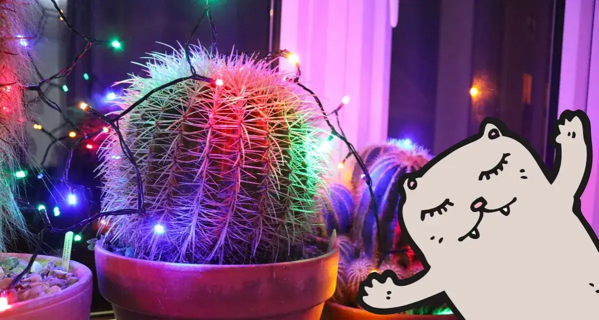 Jak udekorować okno lampkami - kreatywne pomysły i bezpieczne metody