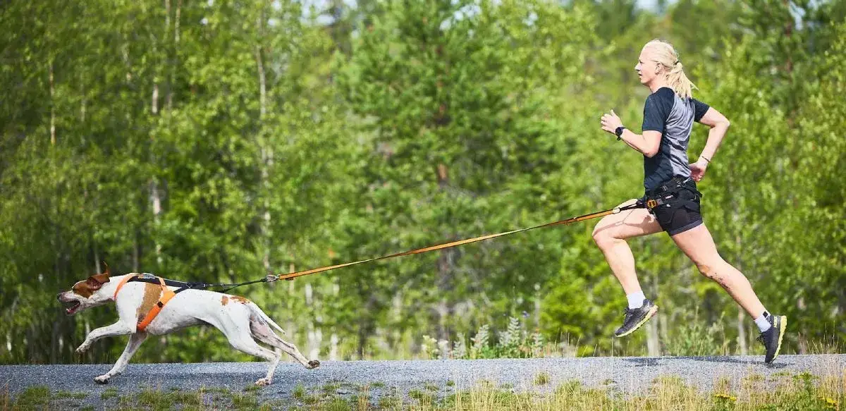 Decathlon Canicross: Tu guía para elegir el equipo ideal y seguro