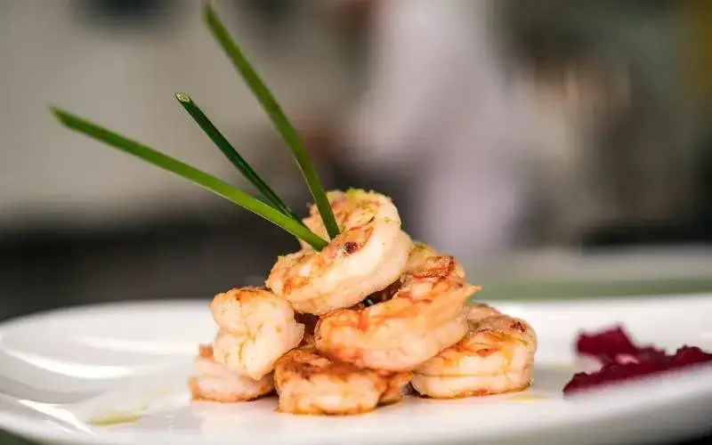 Gdzie zjeść w Kościerzynie? Odkryj najlepsze restauracje i smaki