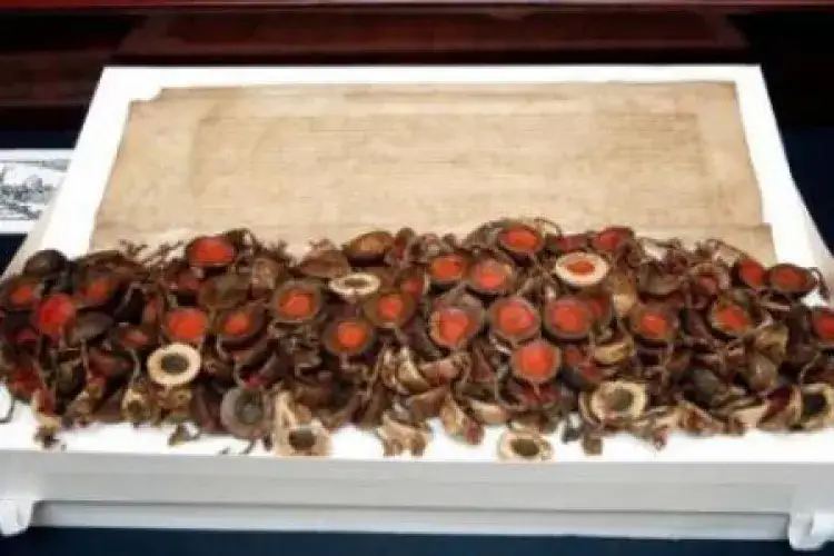 Jakie były przyczyny uchwalenia aktu konfederacji warszawskiej?