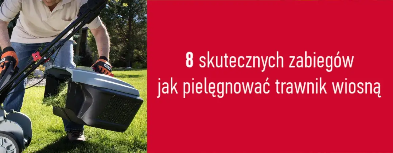 Jak przygotować trawnik na wiosnę, aby uniknąć problemów z jego wzrostem