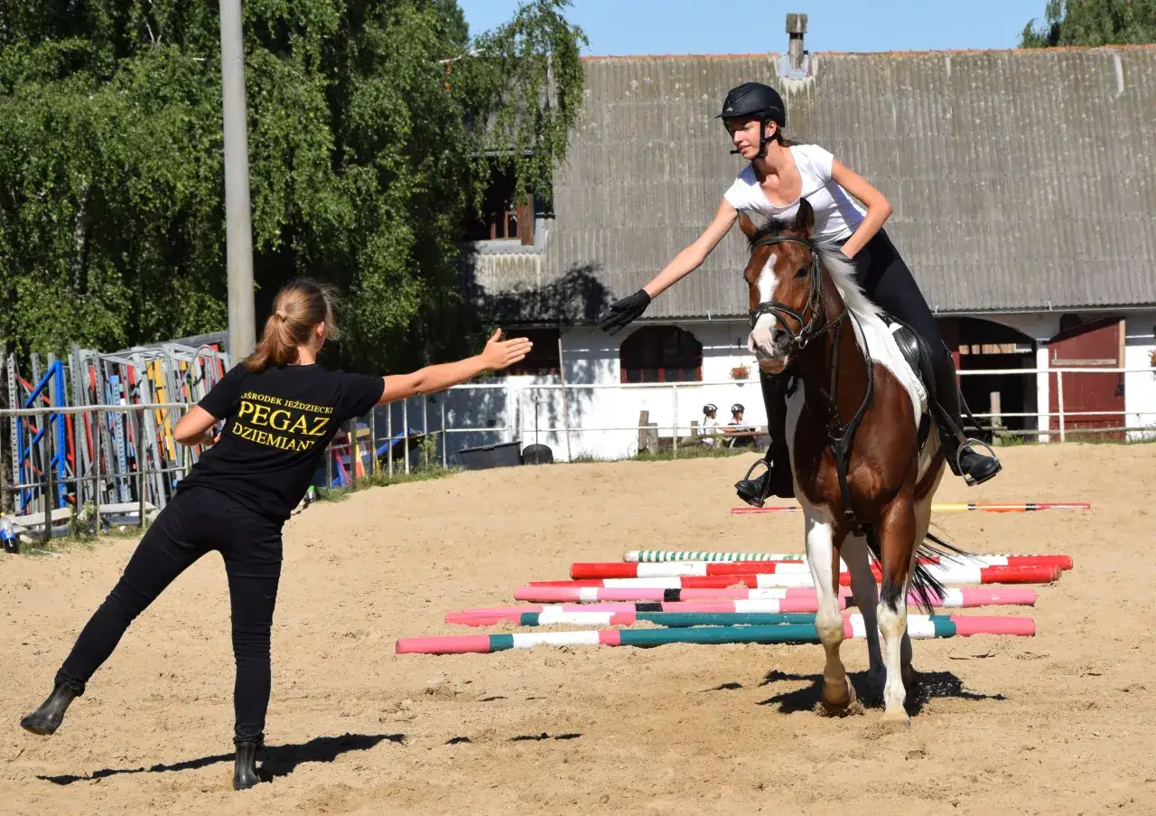Stadnina Pegaz: Poznaj unikalne oferty i pasję do jeździectwa