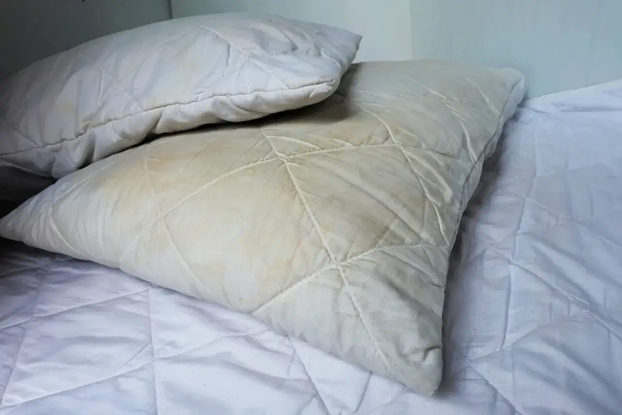 Pranie poduszek ogrodowych: Skutecznie usuń pleśń i plamy!