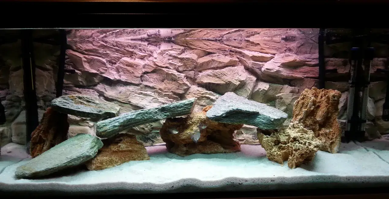 Jak bezpiecznie kleić kamienie w akwarium - najlepsze metody i porady