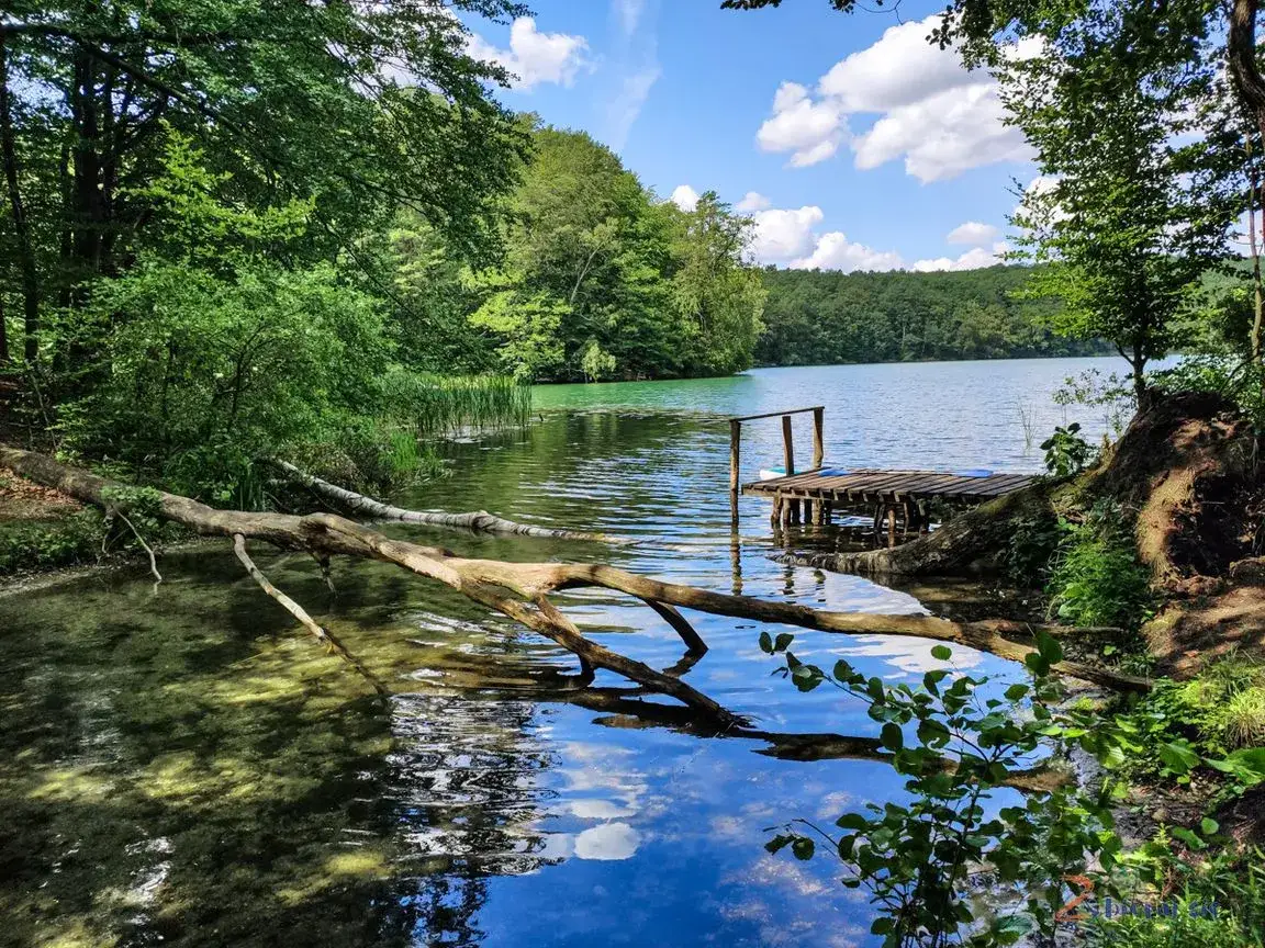 Lubuskie: Najczystsze jeziora na lato. Przewodnik Dawida Jaworskiego