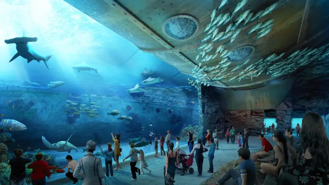 Gdynia atrakcje oceanarium - odkryj fascynujące morskie ekosystemy