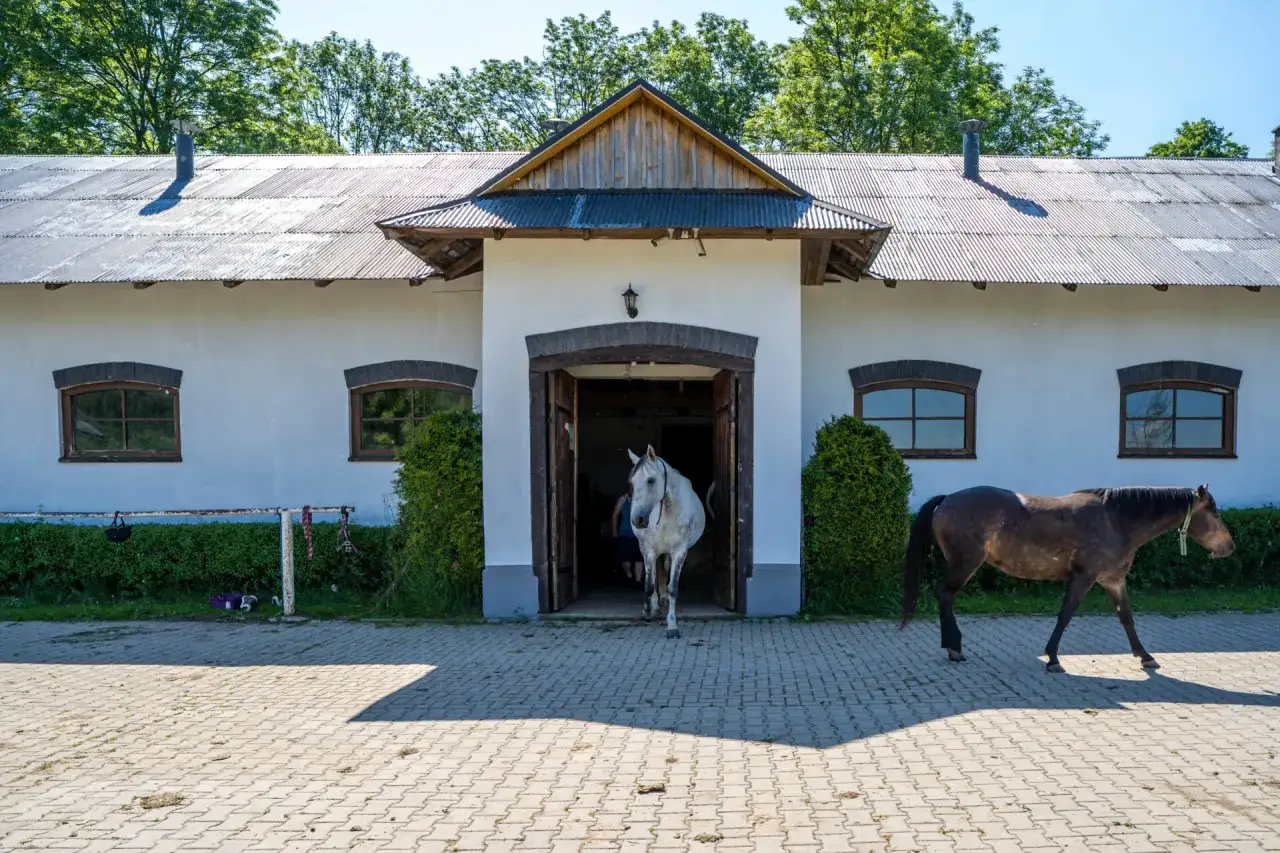 Stadnina koni Łopuszna - wyjątkowe lekcje jazdy i atrakcje dla każdego