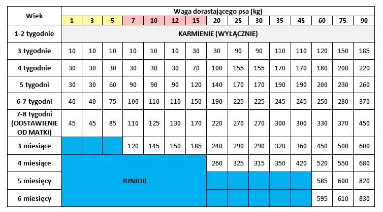 Ile smecty dla psa: prawidłowe dawkowanie i ważne wskazówki