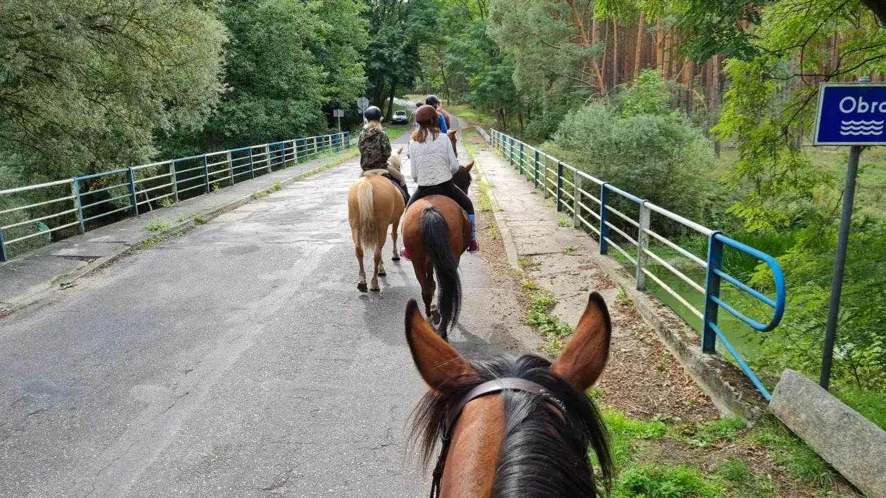 Czy można jeździć konno po mieście? Przepisy i bezpieczne trasy