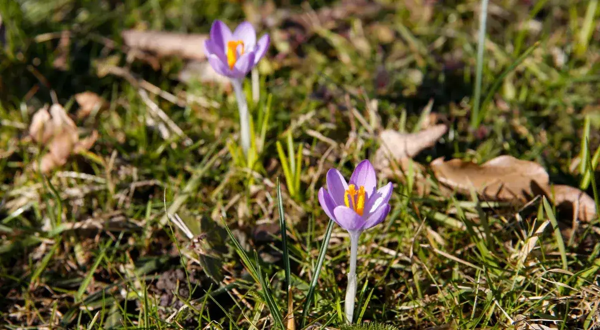 Kiedy dzień jest równy nocy? Odkryj tajemnice równonocy