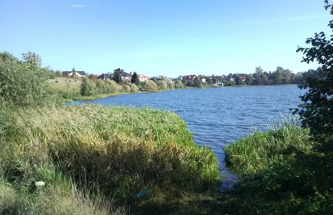 Jezioro Tuchomskie: piękne miejsce z ekologicznymi wyzwaniami i atrakcjami