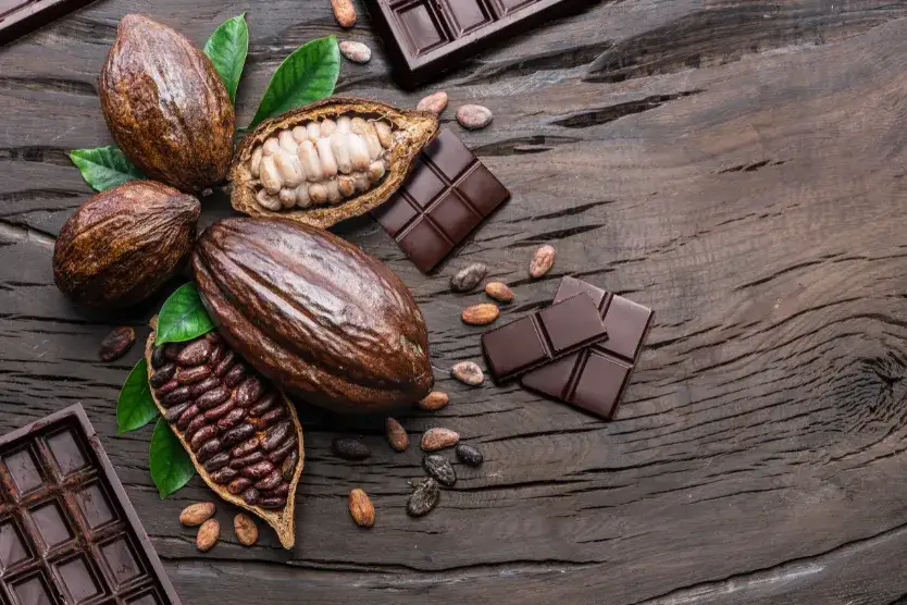 Kakao odtłuszczone czy pełnotłuste? Sekrety smaku i zdrowia