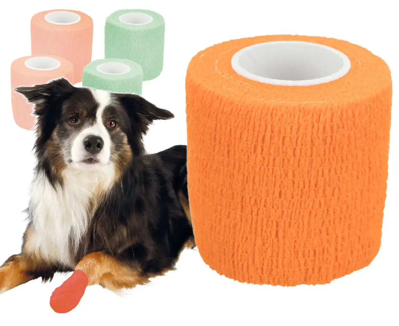 Gdzie kupić bandaż dla psa? Szybka pomoc i wybór