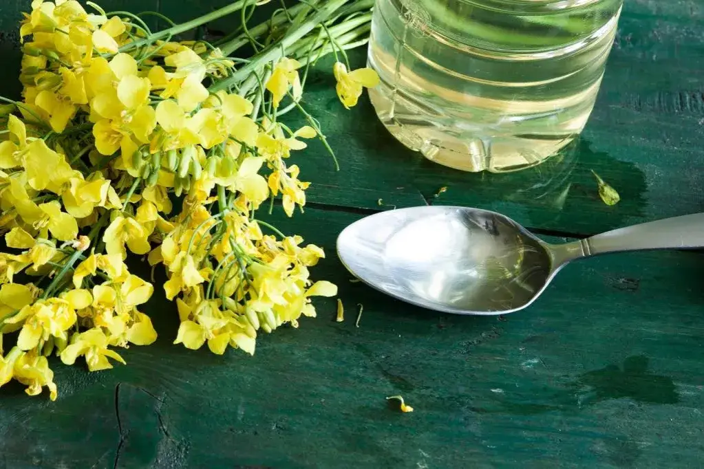 Jakie są oleje roślinne i dlaczego warto je stosować w diecie?