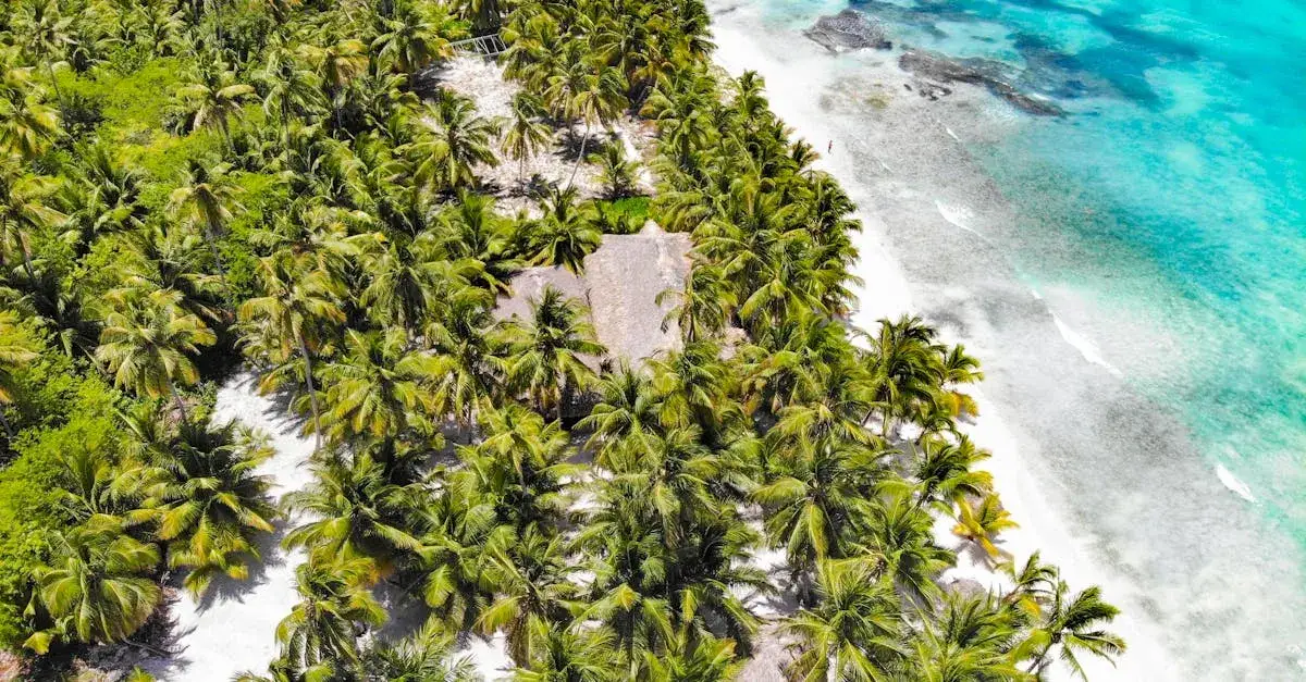 Pogoda na Bali w sierpniu: Co warto wiedzieć przed wyjazdem