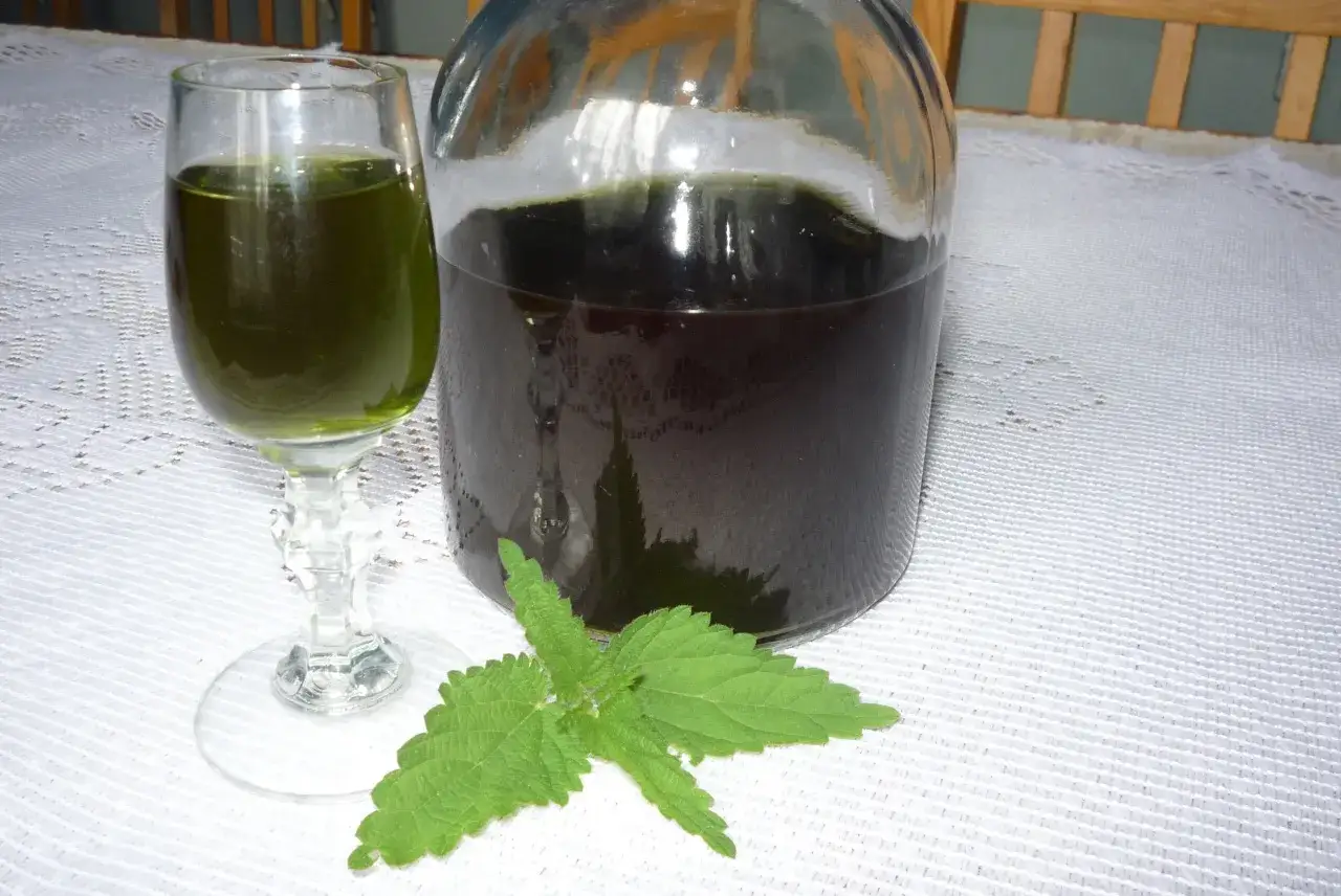 Jak zrobić nalewkę z pokrzywy - prosty przepis na zdrowy napój