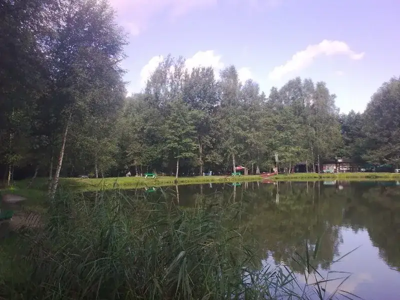 Najlepsze łowiska komercyjne w Śląsku – uniknij rozczarowania wędkarskiego