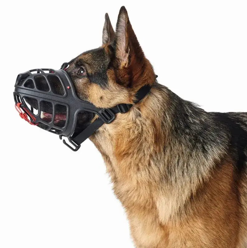 Jak wybrać odpowiedni kaganiec dla psa - uniknij błędów przy wyborze