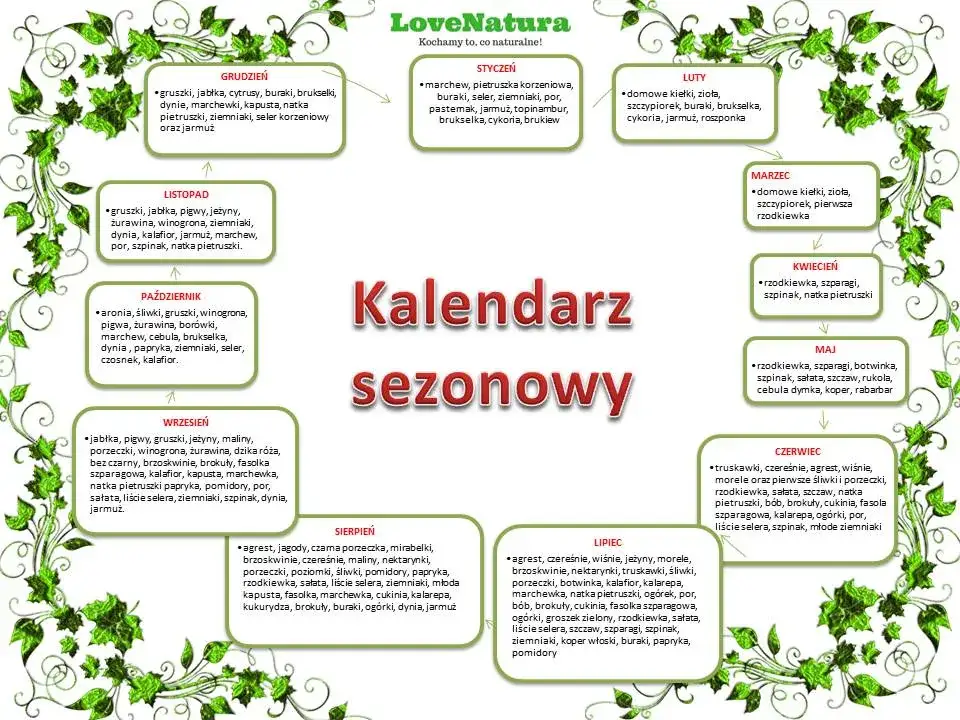 Kiedy sezon na cukinie? Lipiec i sierpień smak i oszczędność