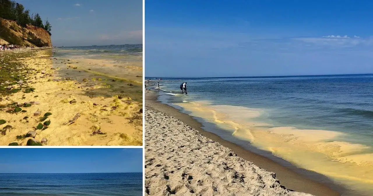 Jaka woda jest w Bałtyku? Zaskakujące fakty o jej jakości i zasoleniu