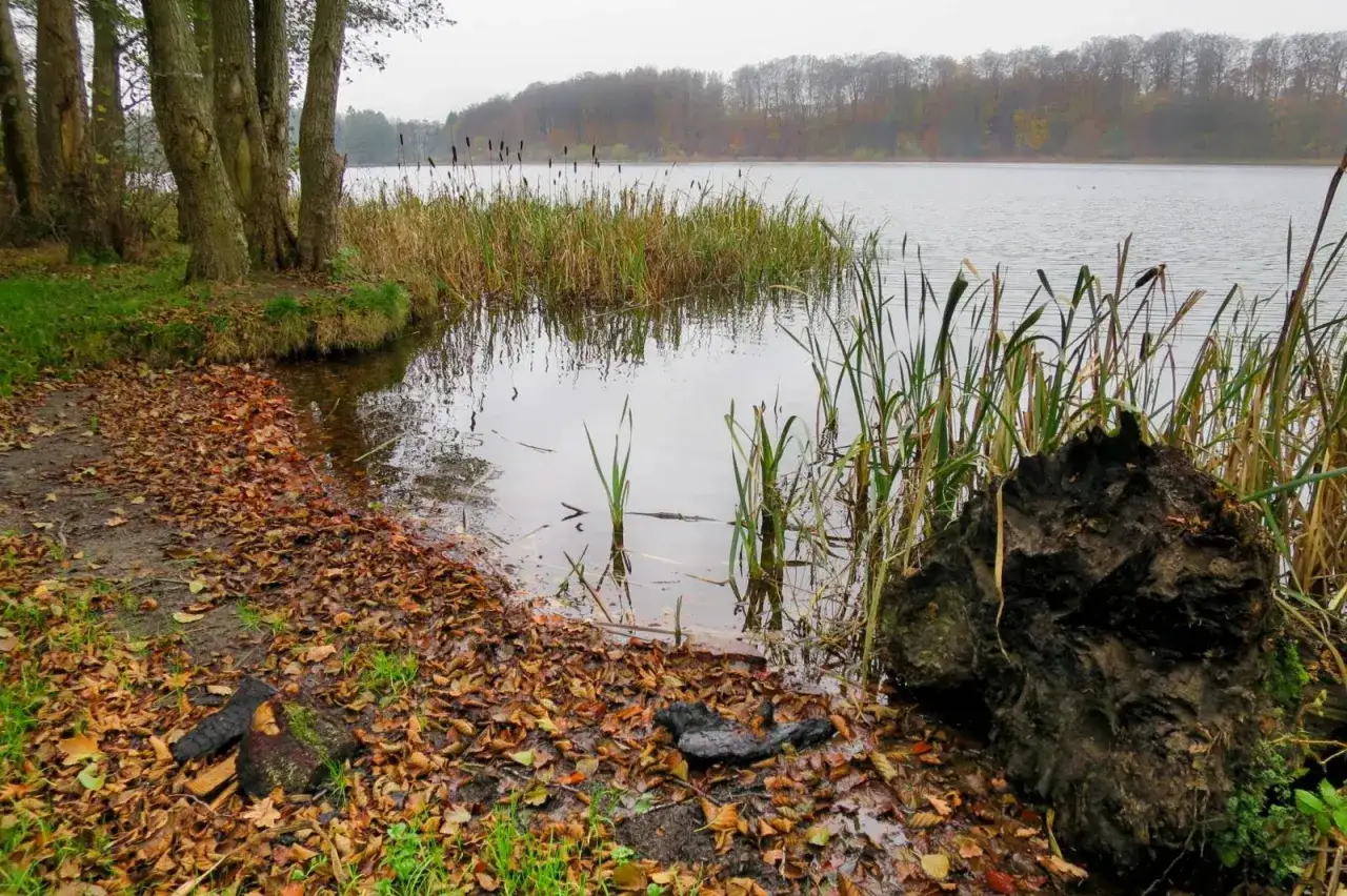 Jezioro Kczewskie: idealne miejsce na wędkowanie i relaks w naturze