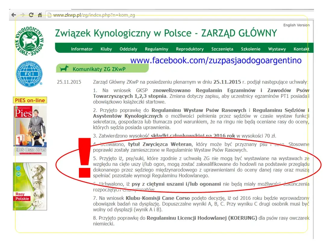 Jak sprawdzić czy hodowla jest w ZKwP i uniknąć oszustw